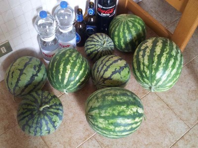 Cocomere / 20140712_110230.jpg 20140712_110230.jpg