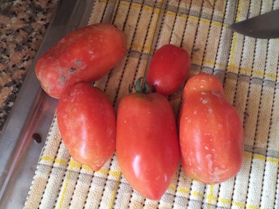 Pomodori / 20140712_110210.jpg 20140712_110210.jpg