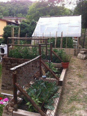 Visione d'insieme a fine Maggio / 56_2014.jpg 56_2014.jpg