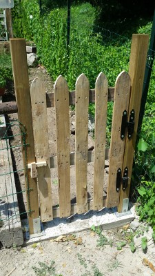 Cancello d'entrata dell'Aly's Farm / 69_2014.jpg 69_2014.jpg