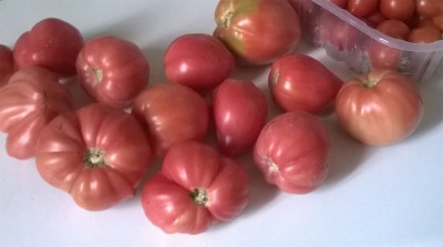 Pomodori / 76_2014.jpg 76_2014.jpg