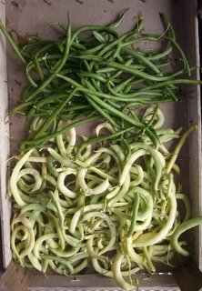 fagiolini e stortini / CAM00607.jpg CAM00607.jpg