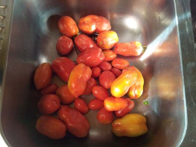 Pomodori / 20140717_085134.jpg 20140717_085134.jpg