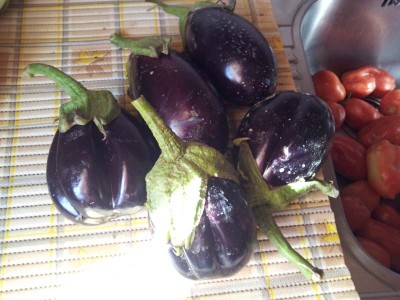 Melanzane / 20140717_085141.jpg 20140717_085141.jpg