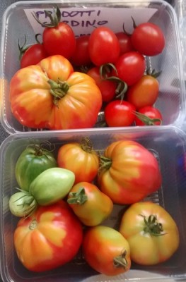 Raccolto del 15-07.jpg (60.9 KiB) Osservato 719 volte Raccolto del 15-07.jpg