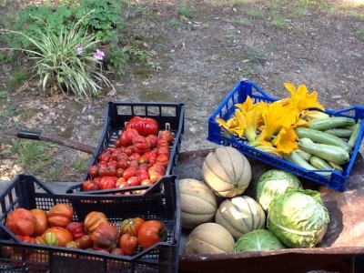 image.jpg (223.47 KiB) Osservato 853 volte image.jpg