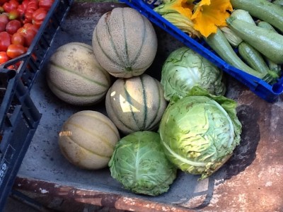 Tagliato un melone da mangiare a pranzo.....dooooolce come lo zucchero,ottima annata!!! / image.jpg image.jpg