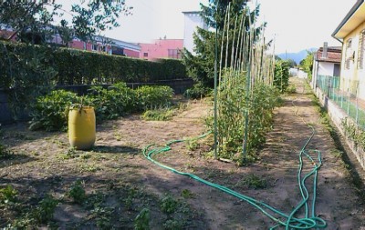 PANORAMICA ORTO / CAM00648.jpg CAM00648.jpg