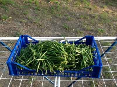 image.jpg (226.36 KiB) Osservato 831 volte image.jpg