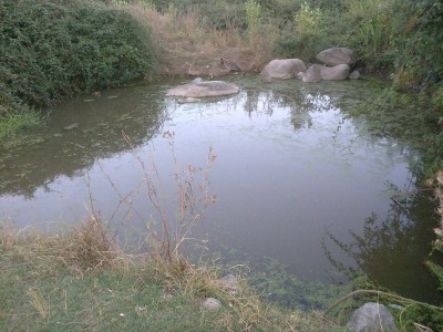 foto0650.jpg (215.9 KiB) Osservato 945 volte foto0650.jpg