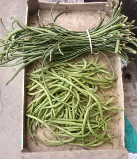 stringhe fagiolini / CAM00678.jpg CAM00678.jpg