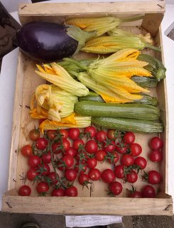 zucchini pomodorini malanzana / CAM00680.jpg CAM00680.jpg
