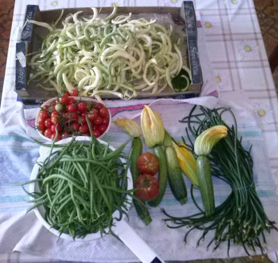 un po di tutto / CAM00690.jpg CAM00690.jpg