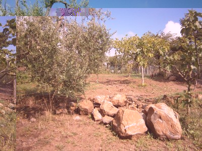 P7250105.JPG (315.79 KiB) Osservato 925 volte P7250105.JPG