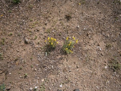 P7250106.JPG (387.87 KiB) Osservato 924 volte P7250106.JPG