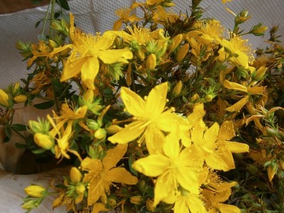 P7250087.JPG (227.48 KiB) Osservato 922 volte P7250087.JPG