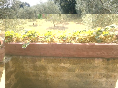 P7250109.JPG (248.57 KiB) Osservato 924 volte P7250109.JPG