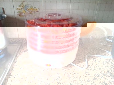 Essiccatore / essiccatore (1).jpg essiccatore (1).jpg