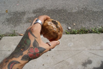 24 marciume pomo.jpg (131.46 KiB) Osservato 678 volte 24 marciume pomo.jpg