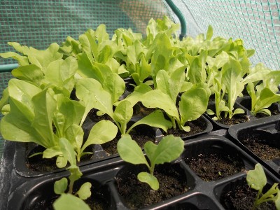 DSCN1549.JPG (281.13 KiB) Osservato 690 volte DSCN1549.JPG