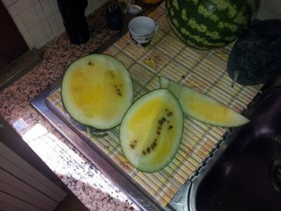 cocomera_gialla.jpg (32.44 KiB) Osservato 603 volte cocomera_gialla.jpg