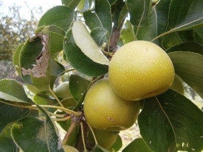 P7250103.JPG (222.84 KiB) Osservato 846 volte P7250103.JPG