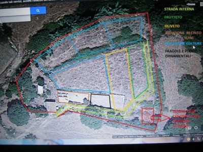 IMG_0119.JPG (142.23 KiB) Osservato 793 volte IMG_0119.JPG