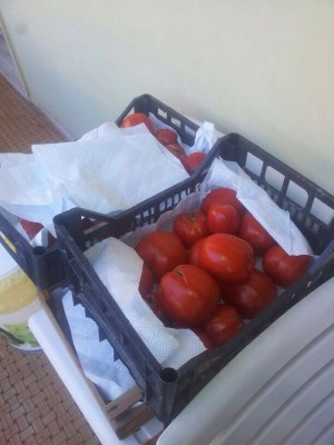 IMG-20140803-WA0015.jpg (55.31 KiB) Osservato 689 volte IMG-20140803-WA0015.jpg