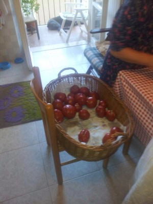 IMG-20140803-WA0016.jpg (58.59 KiB) Osservato 689 volte IMG-20140803-WA0016.jpg