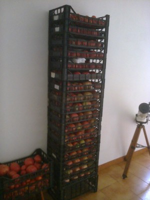 foto0709.jpg (119.79 KiB) Osservato 890 volte foto0709.jpg