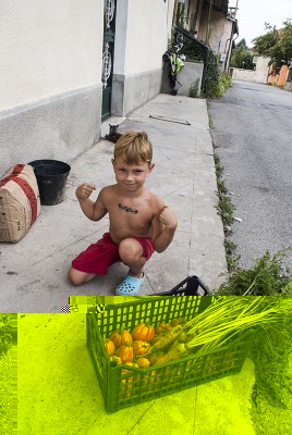 37 raccolto.jpg (172.1 KiB) Osservato 590 volte 37 raccolto.jpg