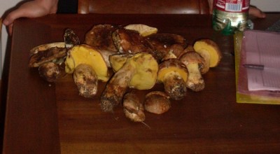 72-08082014.JPG (139.05 KiB) Osservato 619 volte 72-08082014.JPG