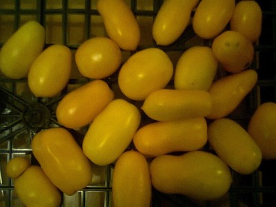 foto0583.jpg (203.11 KiB) Osservato 957 volte foto0583.jpg