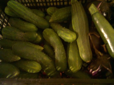 foto0585.jpg (214.84 KiB) Osservato 957 volte foto0585.jpg