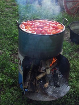 Bollitura / 20140812_090259.jpg 20140812_090259.jpg