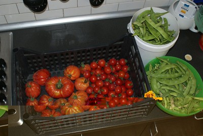 38 raccolto.jpg (128 KiB) Osservato 827 volte 38 raccolto.jpg