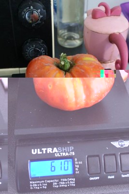 39 big pomo.jpg (46.33 KiB) Osservato 827 volte 39 big pomo.jpg