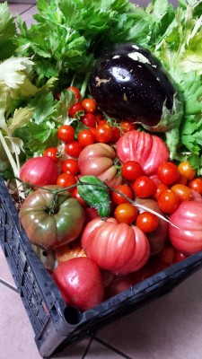 Raccolte / 77_2014.jpg 77_2014.jpg