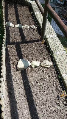 Misticanza, Prezzemolo e Rucola / 88_2014.jpg 88_2014.jpg