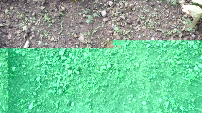 La misticanza cresce!! / 92_2014.jpg 92_2014.jpg