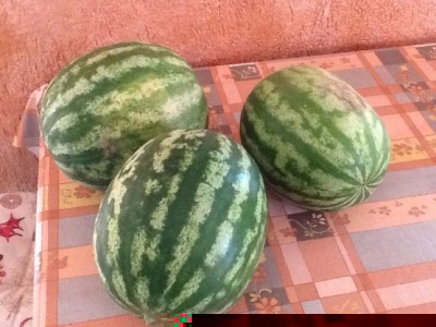 image.jpg (164.46 KiB) Osservato 944 volte image.jpg