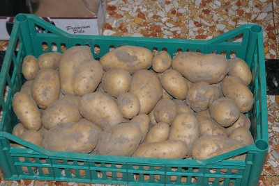 40 patate.jpg (141.4 KiB) Osservato 786 volte 40 patate.jpg