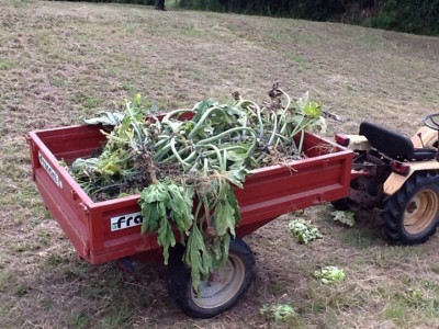 image.jpg (195.31 KiB) Osservato 886 volte image.jpg