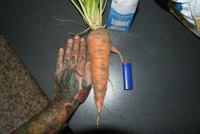 43 carota.jpg (165.78 KiB) Osservato 746 volte 43 carota.jpg