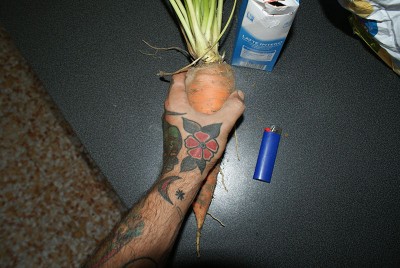 44 carota.jpg (138.02 KiB) Osservato 746 volte 44 carota.jpg