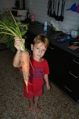 45 carota.jpg (121.09 KiB) Osservato 746 volte 45 carota.jpg