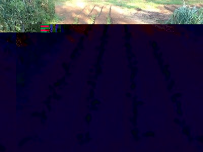 image.jpg (184.31 KiB) Osservato 826 volte image.jpg