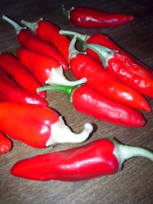 IMG_20140830_114025.jpg (175.87 KiB) Osservato 696 volte IMG_20140830_114025.jpg