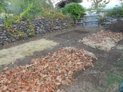 Ottobre 2013. Preparazione delle parcelle. / orto immag ridimensionata.jpg orto immag ridimensionata.jpg