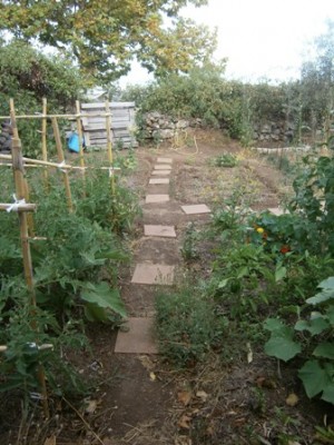 im rid2.jpg (74.06 KiB) Osservato 1003 volte im rid2.jpg